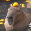 capybara_love_forever