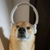 ropponuwu323