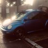 kea_beetle1800