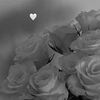 pretty_gg77