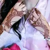hanan2080325797944