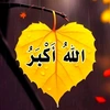 3ali_243