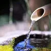 Landscape architect