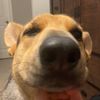 chase_087616