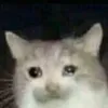 user0hjq2muysc