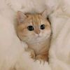 naaaa_0529