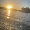zoe._321