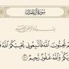 user6825116004517