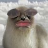 peeraput71