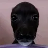nmistz