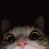 ᅠ