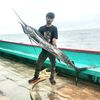 adull.ciprantaw