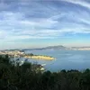 annamariabarone956