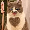 userf0nsnis7wl