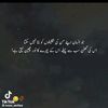 meesamabbas0303gmail.com