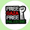 freepalestine123411084