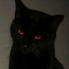 sakynyan_