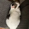 leyn_0331