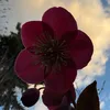mea_0710