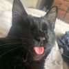 mycathasnoeyes