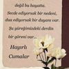 hiraakksoy2