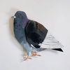 deliriousbluebird