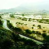 alzhrani.07