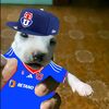 juanito_pro_gamer_