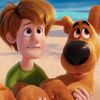 shaggy_xj