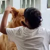 vishypoobs