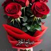 www.tiktok.comadnaniqba1