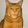 baron_556