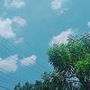 iloh83