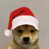 .th0nyyy_