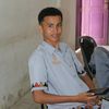 felis_hal