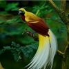 julian_01a8