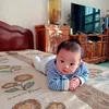 12181981toan