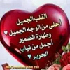 user8440281286245