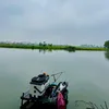 hungnguyenle121