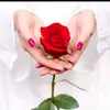 sadianoor436