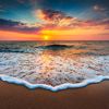 sashwinisash0115
