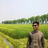 riyadahmed5239