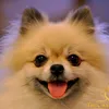 thuyduong1239999