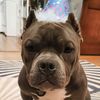 nanatherelentless