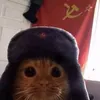 Soviet Cat