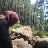 haiditaay