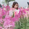 hien.luong026