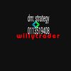 willyfxtrader