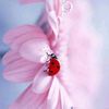 tsymbal.iryna
