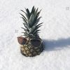 arcticpineapple2